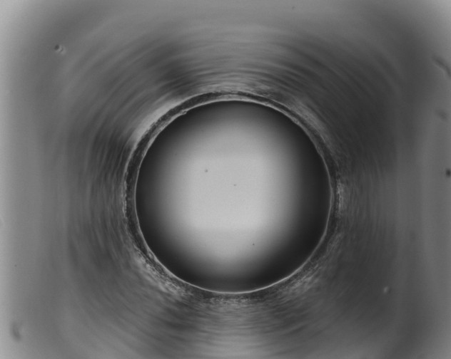 X0000099541020200805231121