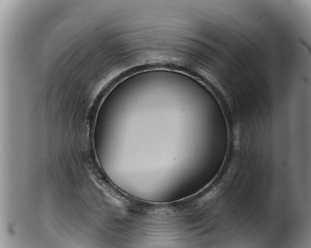 X0000099541021200805231121