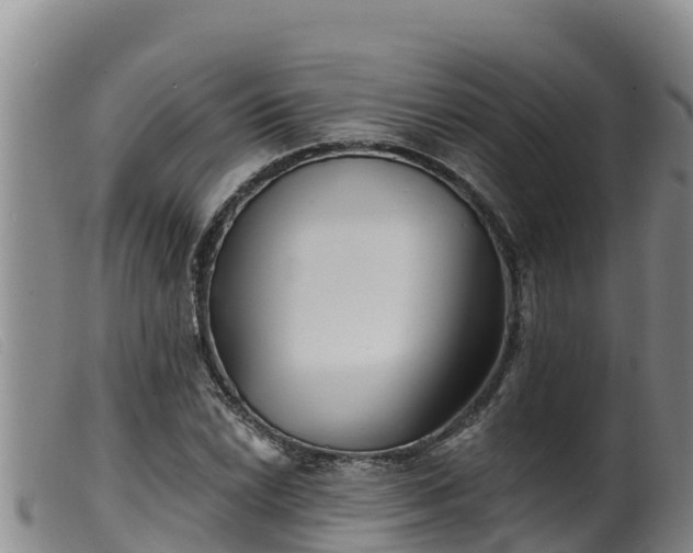 X0000099541022200805231121