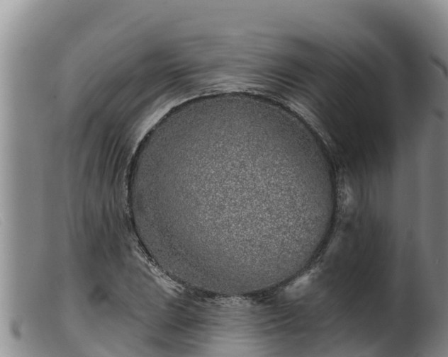 X0000099541023200805231121