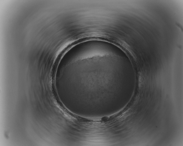 X0000099541024200805231121