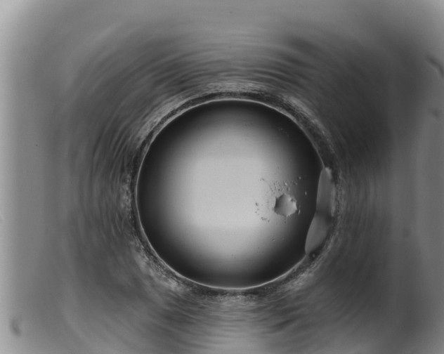 X0000099541025200805231122