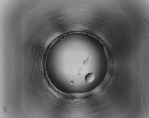 X0000099541026200805231122