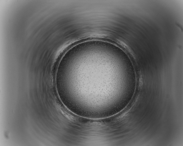 X0000099541027200805231122