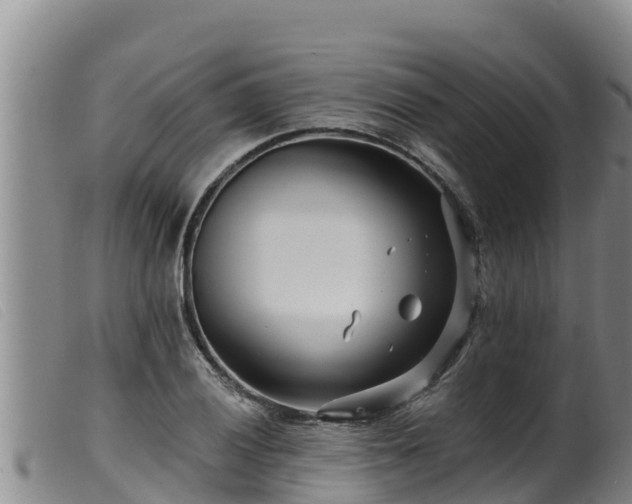 X0000099541028200805231122