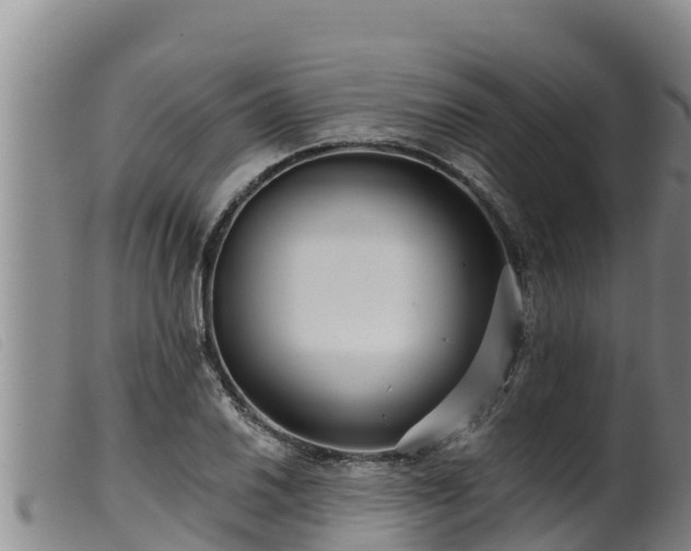 X0000099541030200805231122