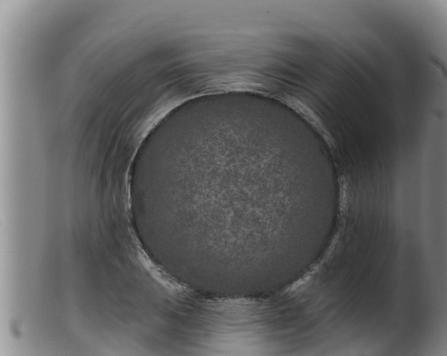 X0000099541031200805231122