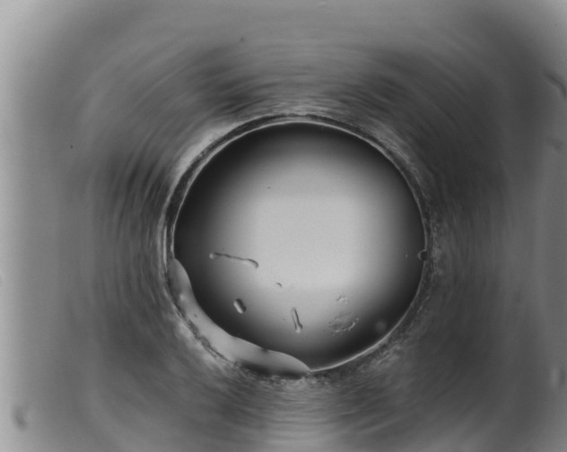 X0000099541032200805231122