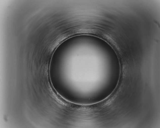 X0000099541033200805231122