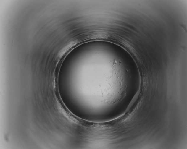 X0000099541034200805231122