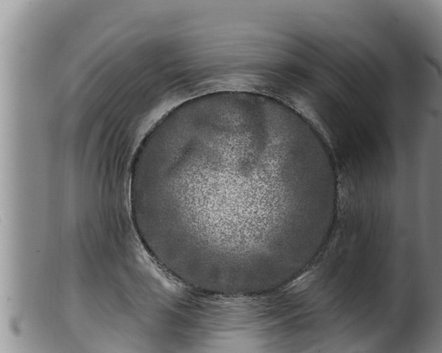 X0000099541035200805231122