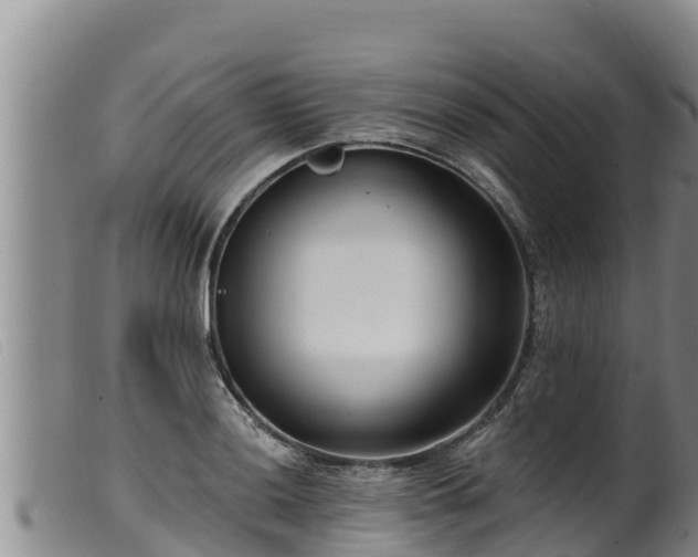 X0000099541036200805231122