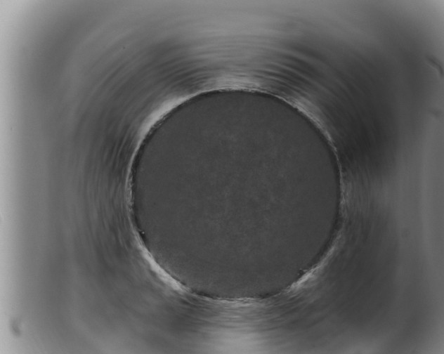 X0000099541037200805231122