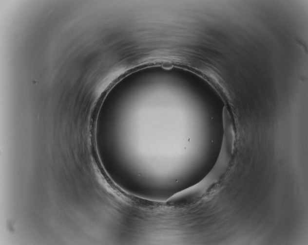 X0000099541038200805231122