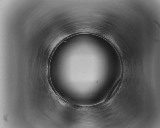 X0000099541040200805231122