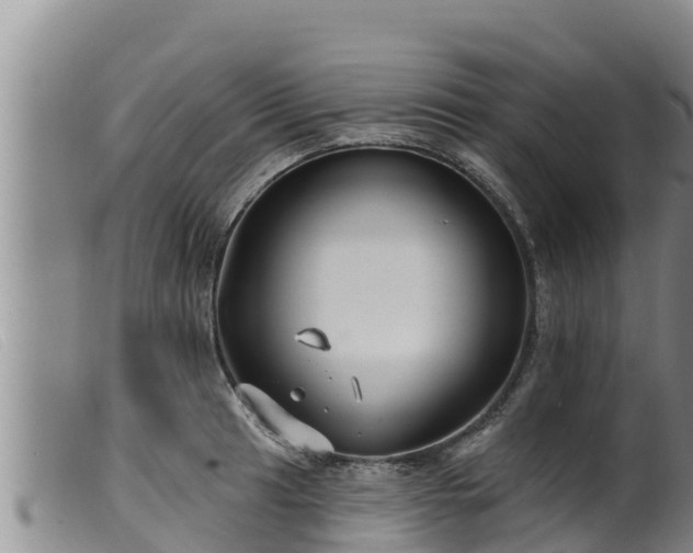 X0000099541041200805231122