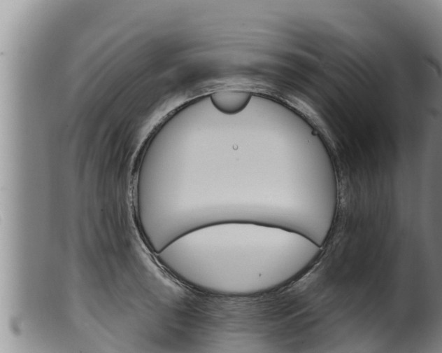 X0000099541043200805231122