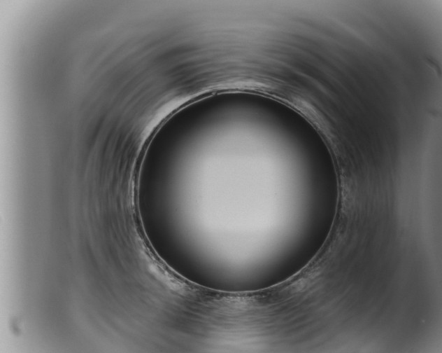 X0000099541044200805231122