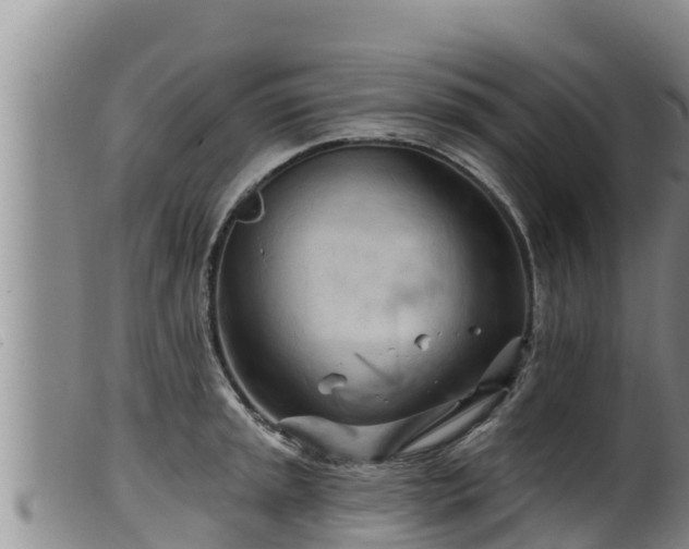 X0000099541045200805231122