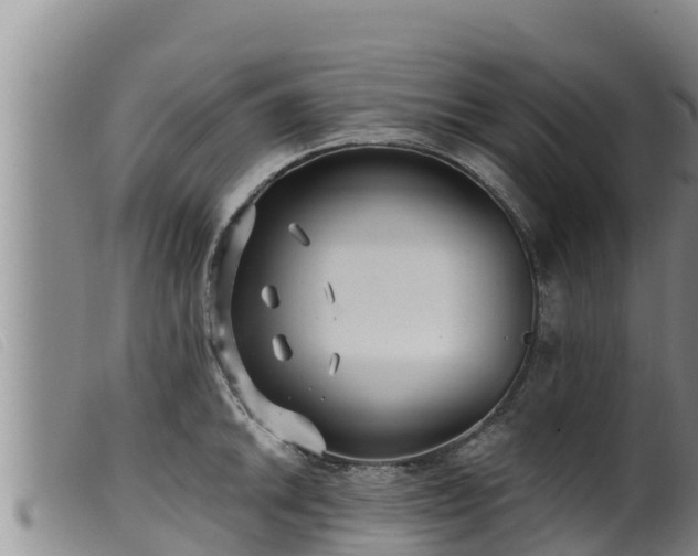 X0000099541046200805231122