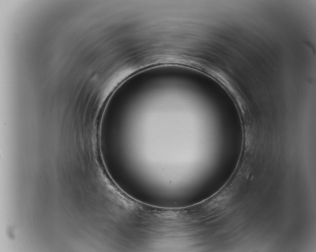 X0000099541048200805231122