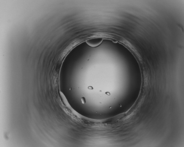 X0000099541049200805231122