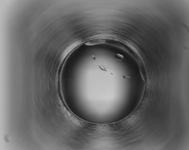 X0000099541050200805231122