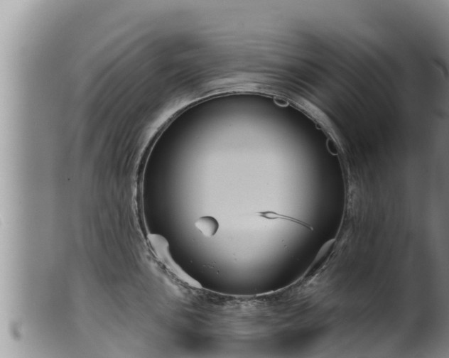 X0000099541051200805231122