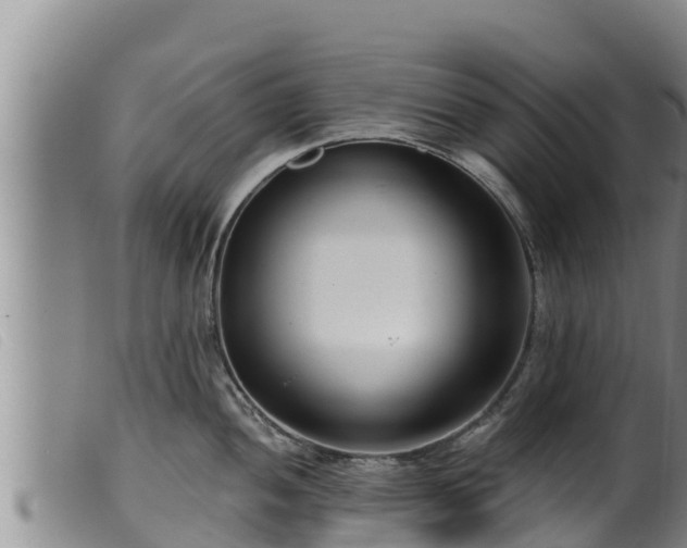 X0000099541052200805231122