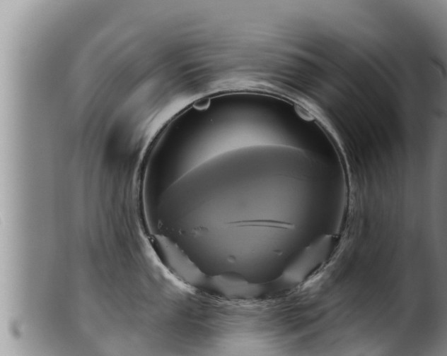 X0000099541053200805231122