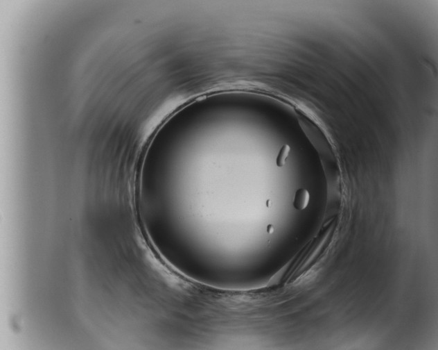 X0000099541054200805231122