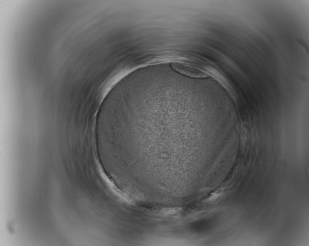 X0000099541055200805231122