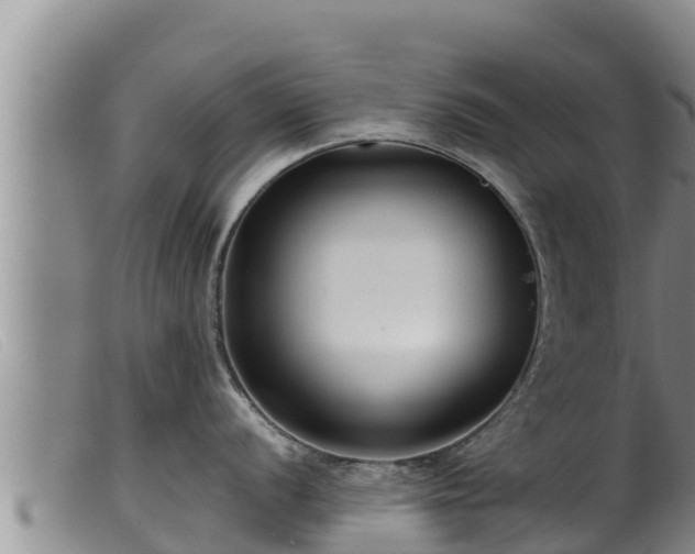 X0000099541056200805231122