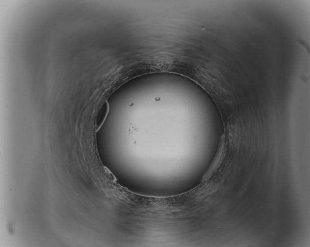 X0000099541057200805231121