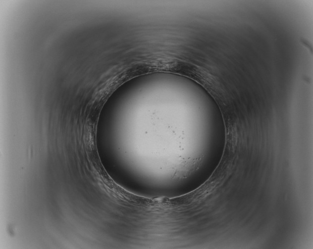 X0000099541058200805231121