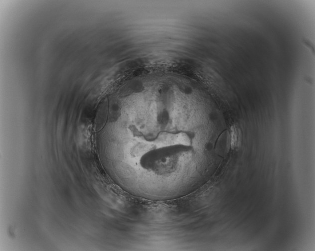 X0000099541059200805231121