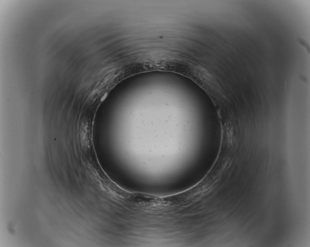 X0000099541060200805231121