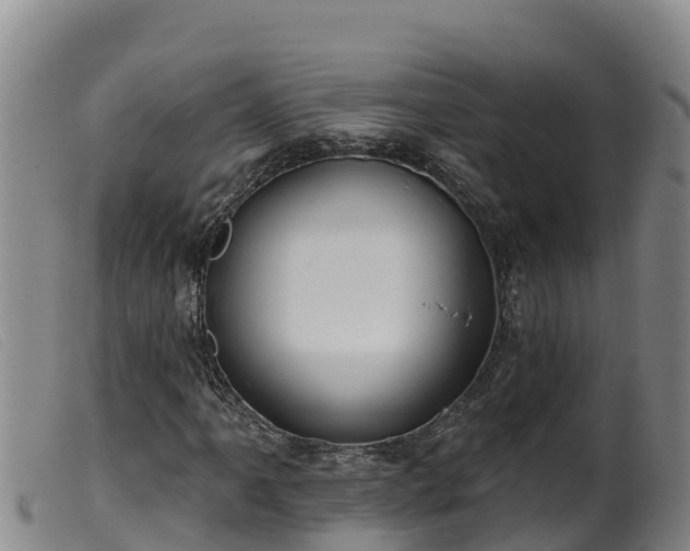 X0000099541061200805231121