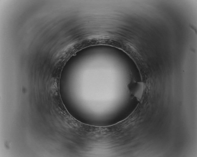 X0000099541062200805231121