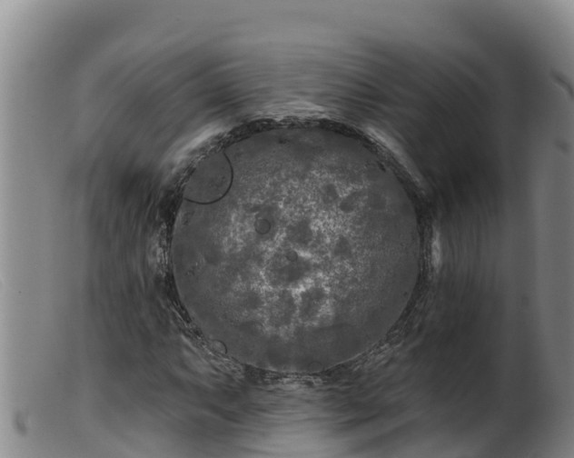 X0000099541063200805231121