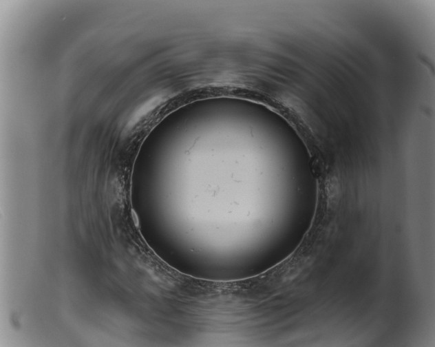 X0000099541064200805231121