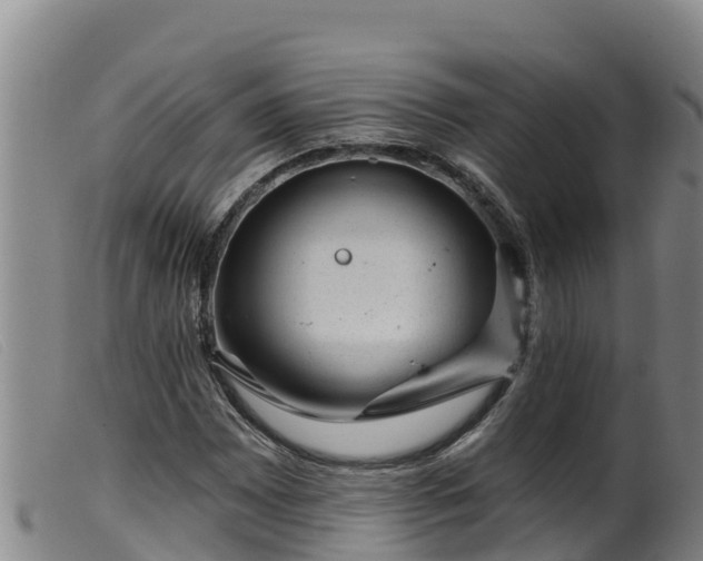 X0000099541065200805231121