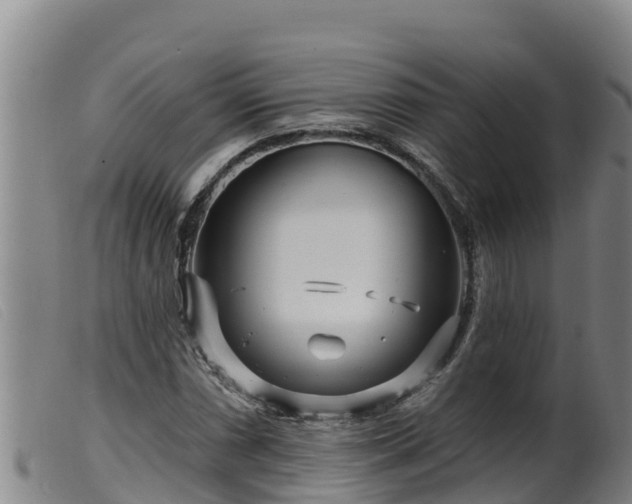 X0000099541066200805231121