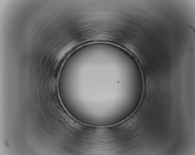 X0000099541067200805231121