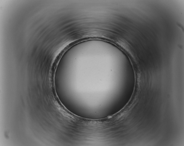 X0000099541068200805231121