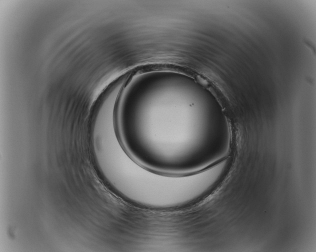 X0000099541069200805231121