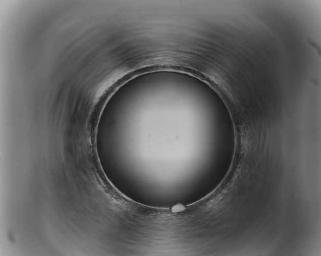 X0000099541070200805231121