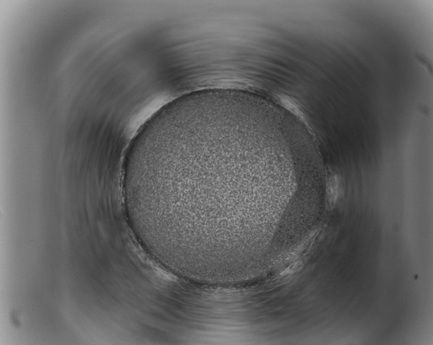 X0000099541071200805231121