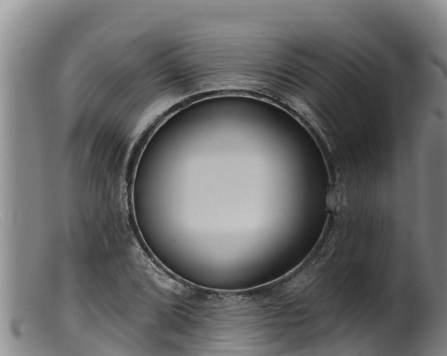 X0000099541072200805231121