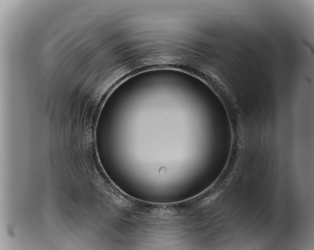 X0000099541073200805231121